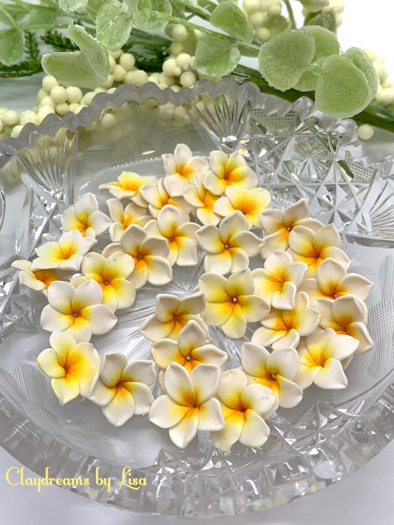 White Plumeria Flower Beads Make in Polymer Clay. 10 Pieces Etsy