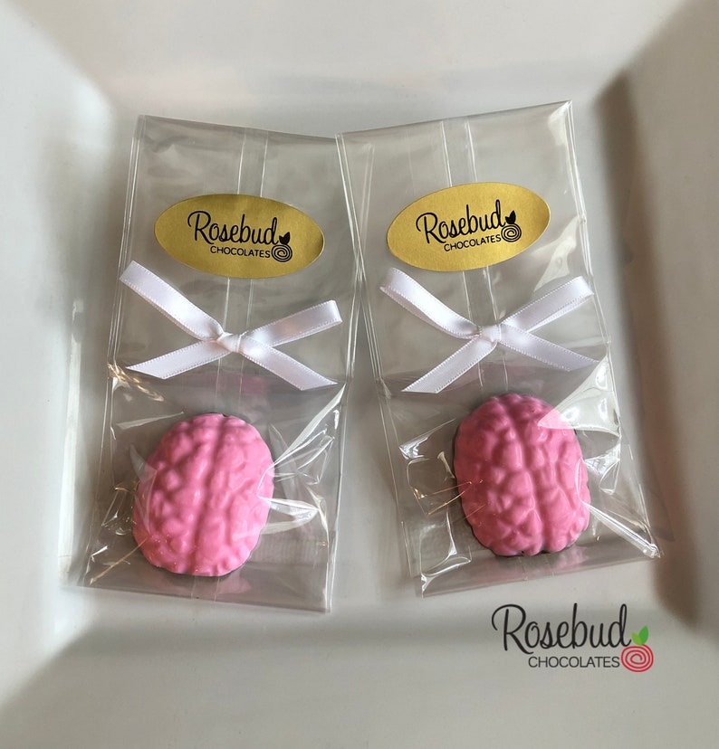 12 BRAIN Chocolate Party Favors Medical School Nursing Graduation Nurse Doctor Mad Scientist Kids Birthday Zombie Brains Halloween image 1