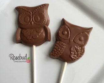 12 OWL Chocolate Lollipops Assorted Candy Party Favors Baby Shower Birthday Party Owls Animals