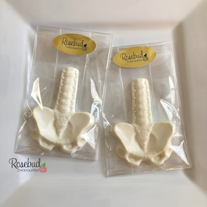 Spine & Pelvic Bone Chocolate: Chiropractor, Doctor, Nurse Gift