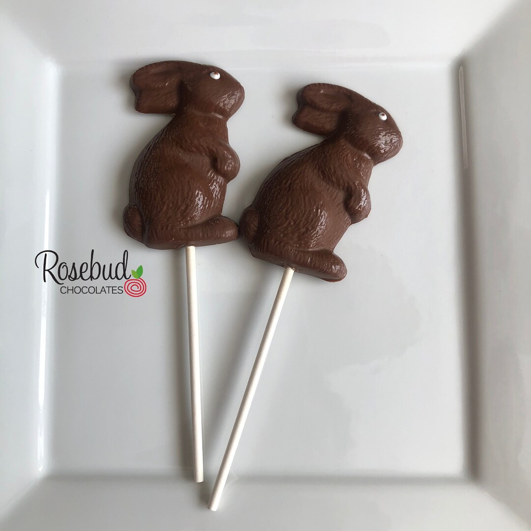 Soled Rabbit 12 BUNNY Chocolate Solid Rabbit Lollipop Favors Easter Candy Birthday ...