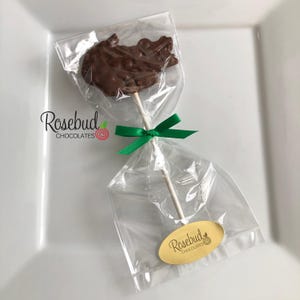 12 CROCODILE Chocolate Lollipops Birthday Party Favors Animals Candy College Flordia Gators Reptiles Alligator image 4
