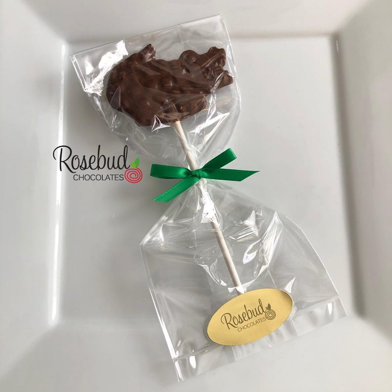 12 CROCODILE Chocolate Lollipops Birthday Party Favors Animals Candy College Flordia Gators Reptiles Alligator image 4
