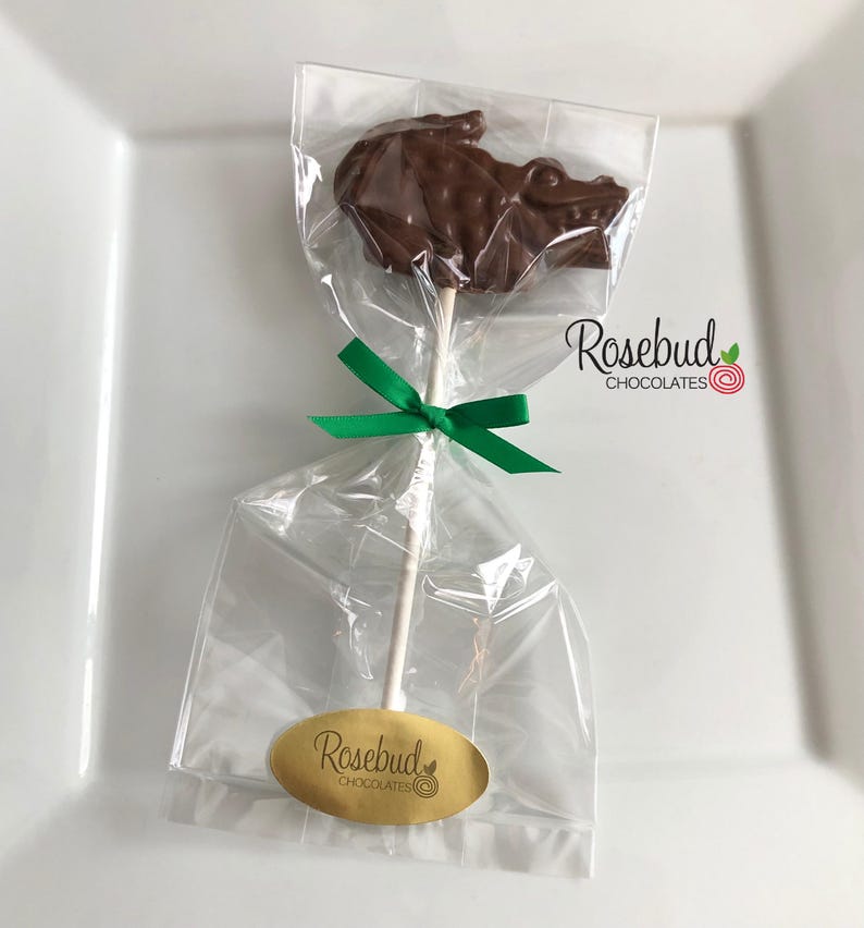 12 CROCODILE Chocolate Lollipops Birthday Party Favors Animals Candy College Flordia Gators Reptiles Alligator image 2