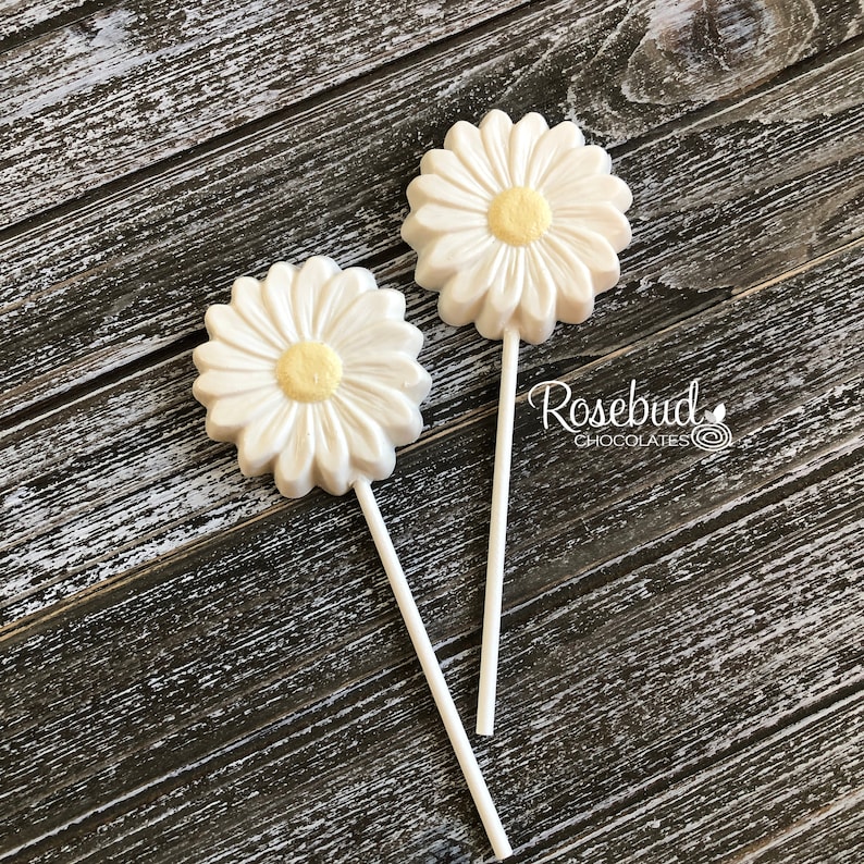 12 DAISY Chocolate Lollipop Candy Party Favors Flowers Etsy