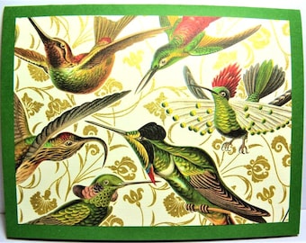 Elegant Hummingbird Cards | Made with Italian Paper | Gold Metallic Details | All Occasion Cards | |lHandmade Box of 9