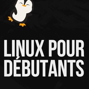 May include: A black book cover featuring a cartoon penguin with orange feet and a white belly at the top. The text reads LINUX POUR DÉBUTANTS in large white capital letters, with the red text 100 COMMANDES INDISPENSABLES at the bottom.