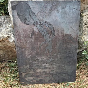 May include: A rectangular slate plaque featuring a dark, etched illustration of a long, slender creature with a curved body and tail. The surface of the stone displays natural variations in gray and reddish-brown tones, with a textured, uneven finish.