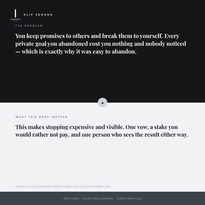 Peut inclure: Un graphique num&eacute;rique avec une section sup&eacute;rieure noire et une section inf&eacute;rieure gris clair. Le texte indique : Elif Serana, The Problem, You keep promises to others and break them to yourself. What this does instead, This makes stopping expensive and visible.