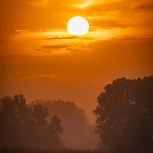 May include: A bright white sun hangs in a vibrant orange sky above a dark, silhouetted landscape. The horizon features the outlines of trees and low-lying vegetation partially obscured by a soft, hazy mist during the early morning or late evening.
