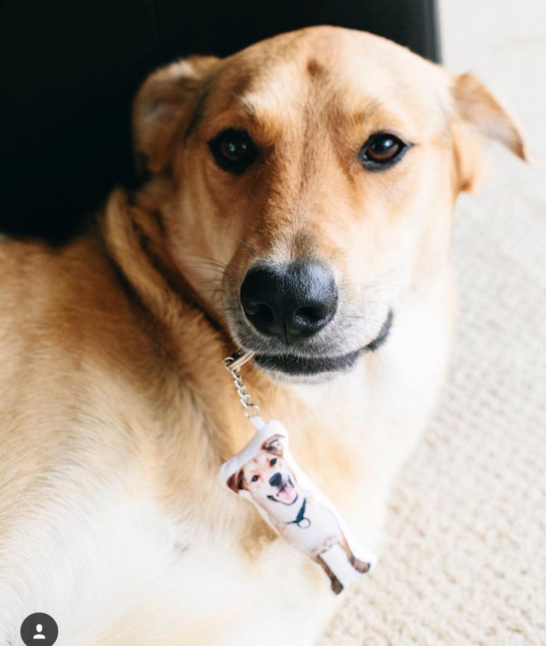 Custom Pet Pillow Keychain Pet Christmas Gift Pet Ornament Etsy