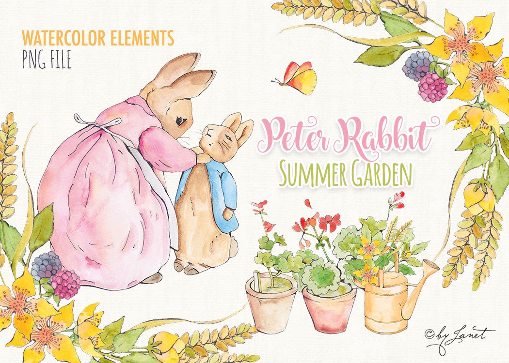 Peter Rabbit Drawings Spring Peter Rabbit Clipart Bundle, Watercolor Spring Garden PNG, Easter Bunny ...