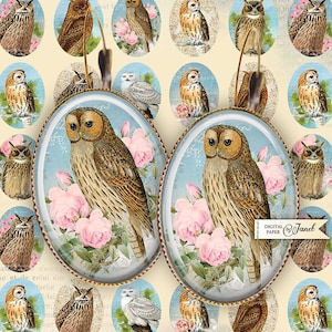 Portrait of Owl - oval image - 18 x 25 mm - digital collage sheet - Printable Download