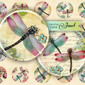 Dragonfly - circles image - digital collage sheet - 1 x 1 inch - Printable Download