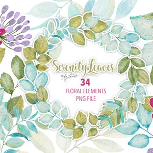 Collezione Serenity Leaves - 34 elementos floreali ad acquerello - archivo PNG - fogli decoupage
