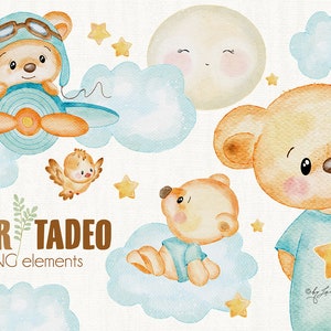 Orso Tadeo, animaletto acquerello, file PNG, illustrazione animaletto, clipart acquerello, fornitura per la festa