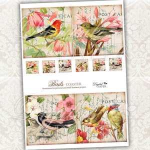 Bird coaster 4 x 4 inch set of 4 cards digital collage sheet image 2