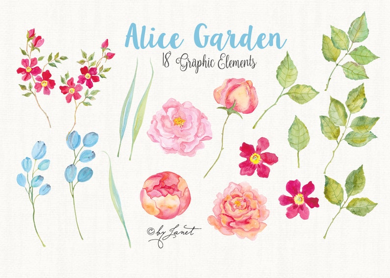 Może przedstawiać: Aquarelowe ilustracje r&oacute;żowych i czerwonych r&oacute;ż, niebieskich kwiat&oacute;w i zielonych liści. Tekst "Alice Garden 18 Graphic Elements" znajduje się w g&oacute;rnej części obrazu.