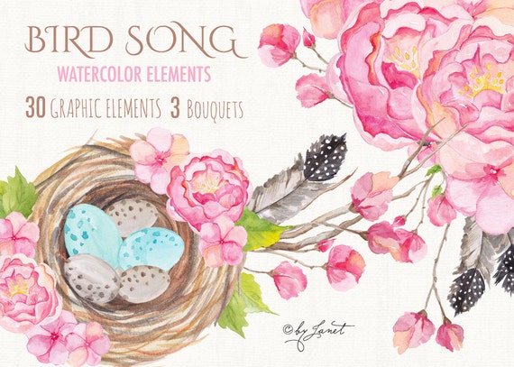 https://www.etsy.com/uk/listing/248213767/bird-song-collection-floral-watercolor?ref=shop_home_active_18