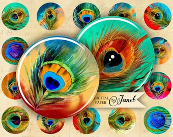 Peacock Eye - immagine cerchi - foglio collage digitale - 1 x 1 pollice - Printable Download