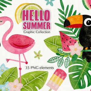 Hola colección de verano, imágenes prediseñadas tropicales, ilustración, elementos de acuarela, archivo PNG