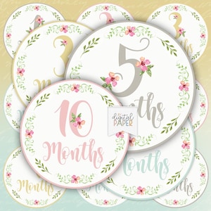 Mois bébé, autocollants mensuels pour bébé, né du bébé, illustration imprimable des mois, fichier Cricut, adapté aux vêtements, surmatelas