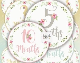 Baby Months, Monthly Baby Milestone Stickers, Baby Born, Printable Months Illustration, Cricut file, Suitable For Clothes, Baby Toppers
