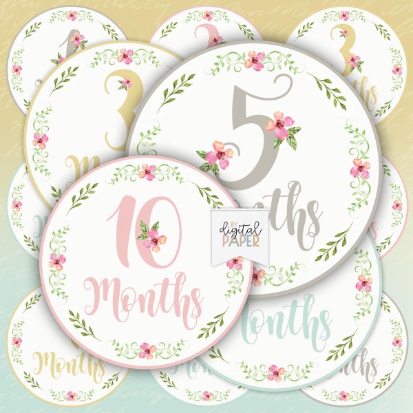 Babymonate, monatliche Baby-Meilensteinaufkleber, Baby geboren, druckbare Monatsillustration, Cricut-Datei, geeignet für Kleidung, Baby-Topper