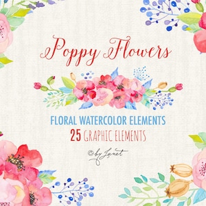 Mohnblume - Florale Aquarellelemente - PNG-Datei