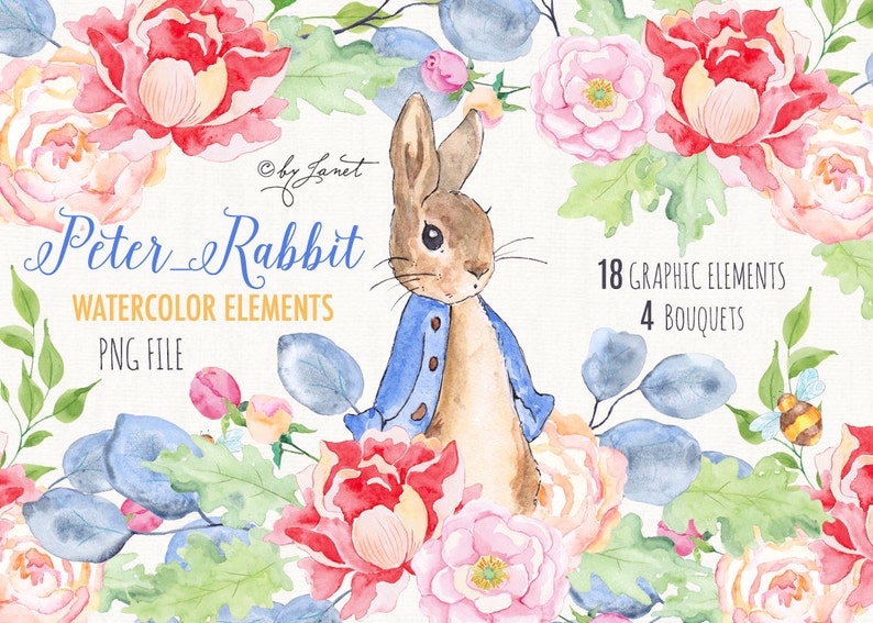Peter Rabbit, file PNG, clipart acquerello, illustrazione di Peter Rabbit, file Cricut, cuccioli di animali, Peter Rabbit stampabile image 1