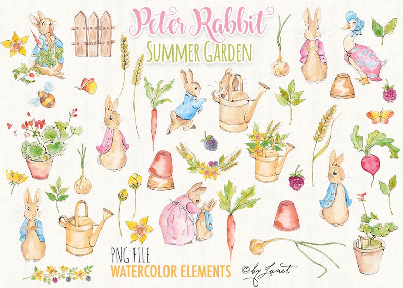 Peter Rabbit  Summer Garden  art clipart  Illustration  image 2