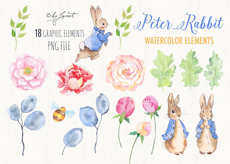 Peter Rabbit, file PNG, clipart acquerello, illustrazione di Peter Rabbit, file Cricut, cuccioli di animali, Peter Rabbit stampabile image 2