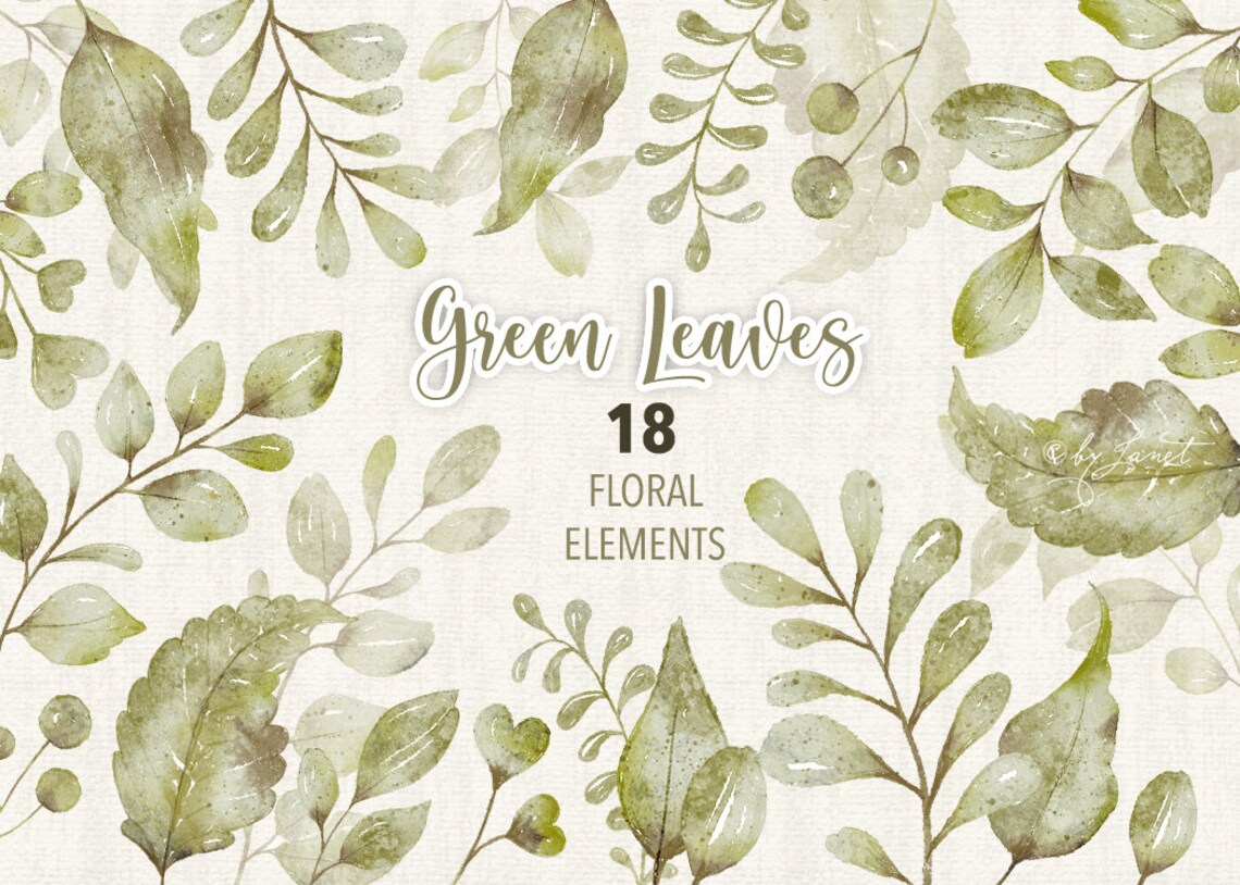 Green Leaves Collection  18 Floral Watercolor Elements  PNG image 0