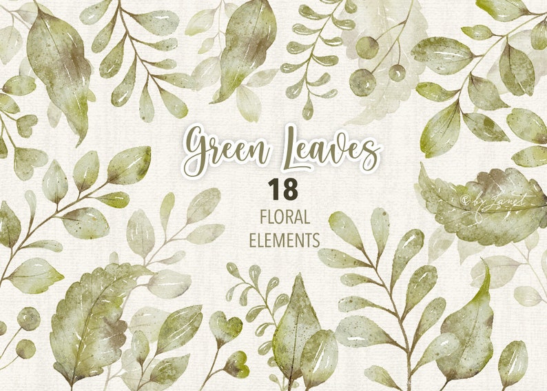 Green Leaves Collection  18 Floral Watercolor Elements  PNG image 0