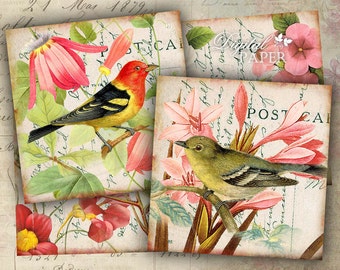 Bird - coaster - 4 x 4 inch - set of 4 cards - digital collage sheet