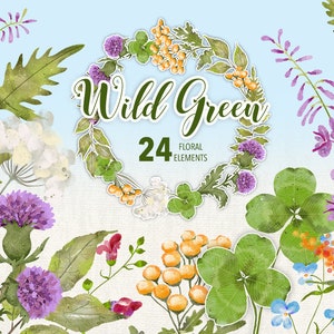 Collezione Wild Green - 24 elementi floreali ad acquerello - bestand PNG - decoupage