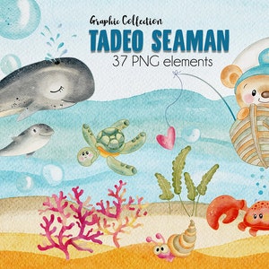 Tadeo Seaman - clipart arte bambino - illustrazione animale - elementi acquerello - file PNG