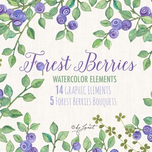 Forest Berries Collection - Watercolor Elements - PNG file