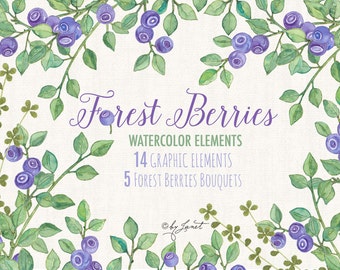Imágenes prediseñadas de bayas del bosque, bayas de acuarela PNG, sublimación de frutos silvestres, archivos de corte Cricut, ilustración botánica, decoración de cocina otoñal