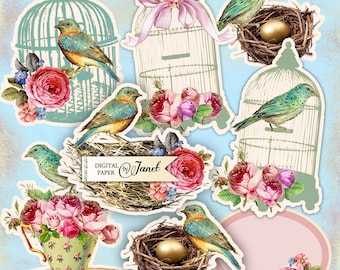 SET BIRDS - foglio collage digitale - Download stampabile