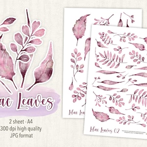 Lilac Leaves Collection - 18 Floral Watercolor Elements - PNG file