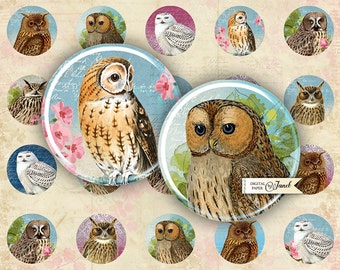 Portrait of Owl - circles image - digital collage sheet - 1 x 1 inch - Printable Download