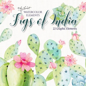 Fichi dell'India - clipart d'arte - Illustrazione - Elementi dell'acquerello - file PNG