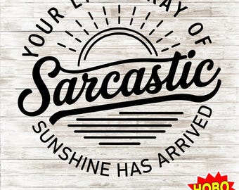 Your Little Ray of Sarcastic Sunshine Has Arrived Svg Png, Sarcastic Svg Funny, Sunshine Svg, Sassy Download Cutting Files Png Sublimation