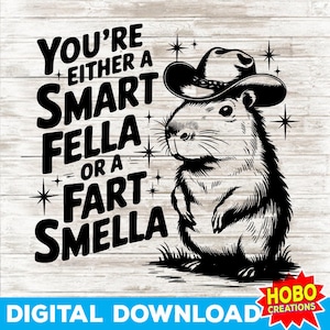 Je bent een slimme kerel of een scheetgeur PNG SVG | Capibara | Sarcastische sublimatie | Grappig retro vintage T-shirtontwerp, Weirdcore SVG