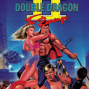 Double Dragon II 18 x 24&quot; Video Game Poster