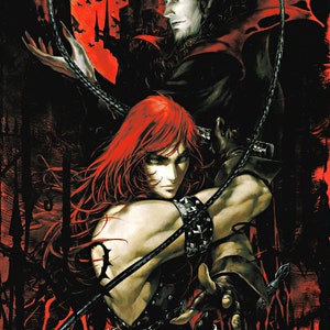 Castlevania Chronicles 18 x 24&quot; Video Game Poster