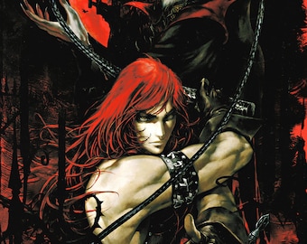 Castlevania Chronicles 18 x 24" Video Game Poster