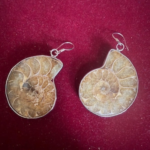 May include: A pair of earrings featuring polished, spiral-shaped ammonite fossils set in silver-toned metal frames. Each fossil displays natural tan and brown earth tones with visible chambered patterns and a silver hook for attachment.