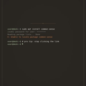 Common Sense Not Found Poster | Funny Cybersecurity Wall Art | Hacker Terminal Humor Print | Developer Gift Digital Download